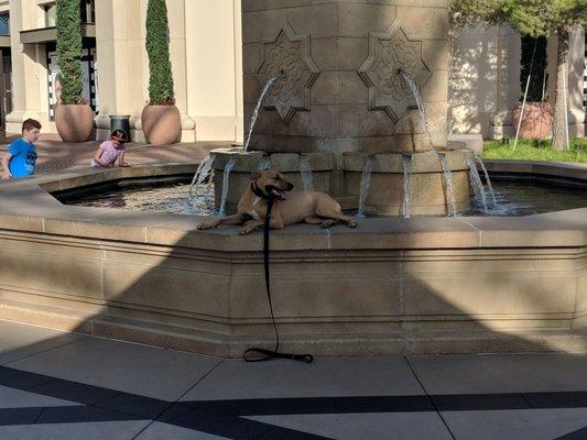 Bane at the Irvine Spectrum, just relaxing