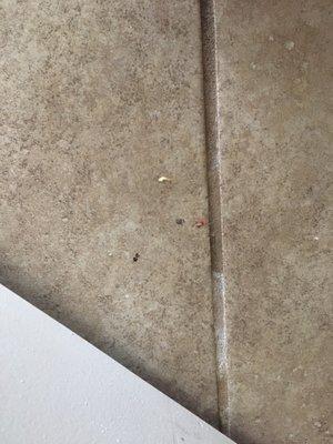 Four pictures I shared with Kelly, and she then stated they aren't able to clean to my expectations. Obvious crumbs shown in the pictures.