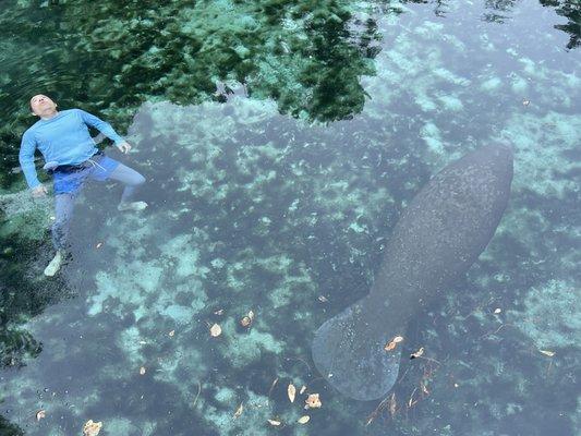 Float Test with a Manatee!