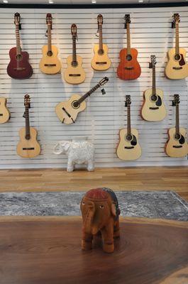 Our Ortega and Bodhi Guitar wall!