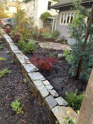 Low retaining wall and low water plantings