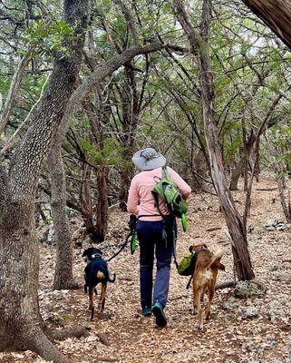 My friend with her well-behaved dogs