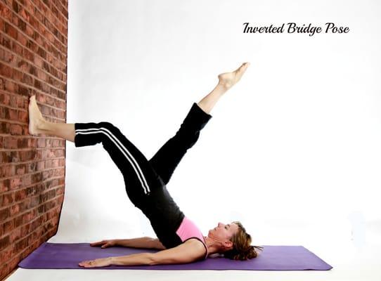 Modified Bridge at Yoga Trends