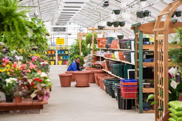 Houseplant Greenhouse