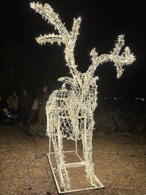 Wander through the lavender fields @ Christmas Nights with more than 1 Million Lights @ 123 Farm in Cherry Valley CA. Dec. 2023