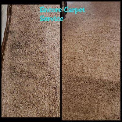 Encore Tech-left my carpet soak and wet and dirty