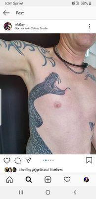 That's  a HUGE Snake! :)  - D's 1st of 3 cover-ups.. #5 Tattoo