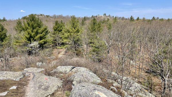 Ridge Trail views