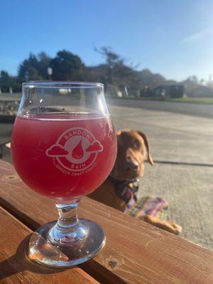 Enjoying a nice hazy cranberry-pineapple cider with my girl in the glorious sunshine!