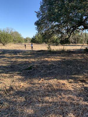 My kids are no longer afraid to walk further back on our lot!