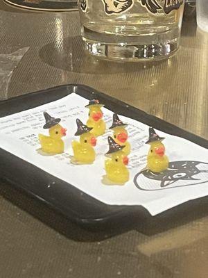 Wizard ducks to take home !