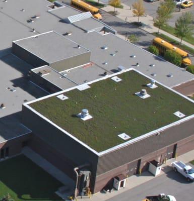 Green Roofing