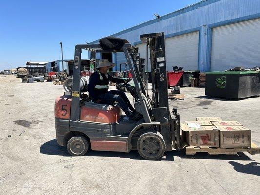 Forklift Licensing