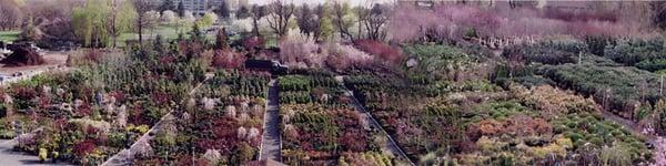 Nursery from above