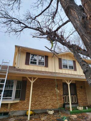 Dead wood and store damage over a house.