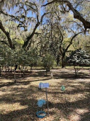 Hofwyl-Broadfield Plantation -- Easter Scavenger Hunt