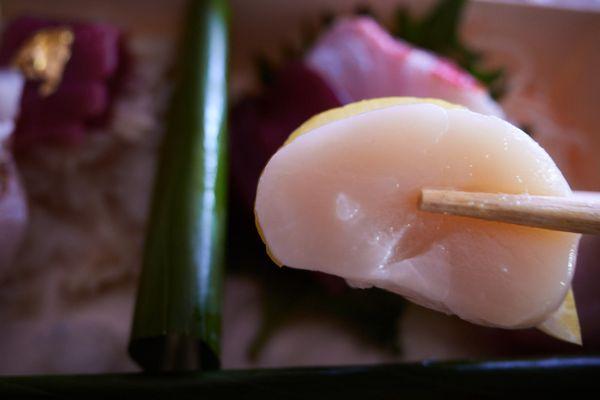 Hokkaido scallop sashimi