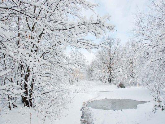 Landscapes of Winter Infect and Fertilize the Mindscape