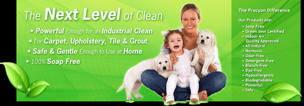 Green Carpet Cleaning Malibu