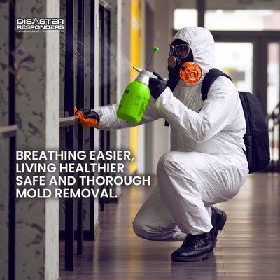 Safe and thorough mold removal ensures you breathe easier and live healthier. Trust us for effective solutions.