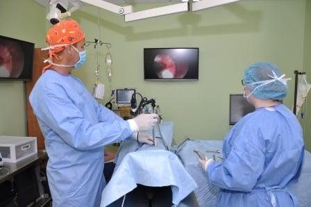 Aldie Veterinary Hospital -Laparoscopic/Endoscopic Surgery Suite