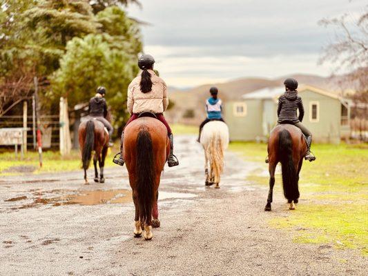 Burgeon Sport Horses