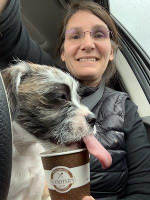 Trubby enjoying her first puppaccino.