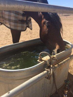 Menifee Meadows Equestrian Center