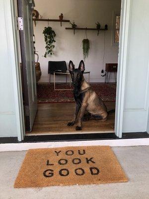 Our pup holding "seats" while I get a good picture of him.