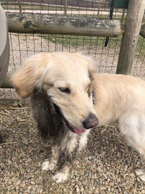 South Kingstown Dog Park