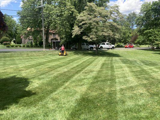 Lawn mowing with diagonal stripes.