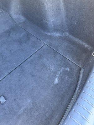 Superficial stain in trunk