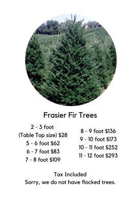 2022 Tree Sizes and Prices