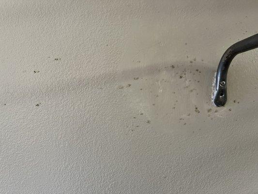 Mold on the walls