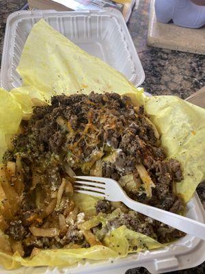 Carne Asada Fries 10000/10