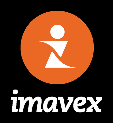 imavex web design and digital marketing