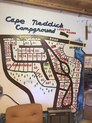 Cape Neddick Oceanside Campground