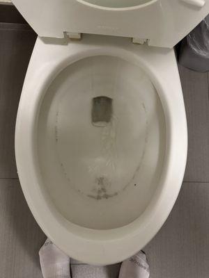 Dirty toilet I