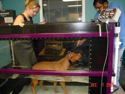 Underwater Treadmill