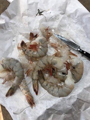 Humongous shrimp