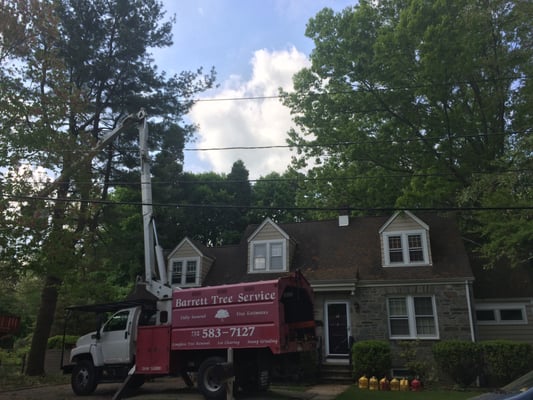 Barrett Tree Service