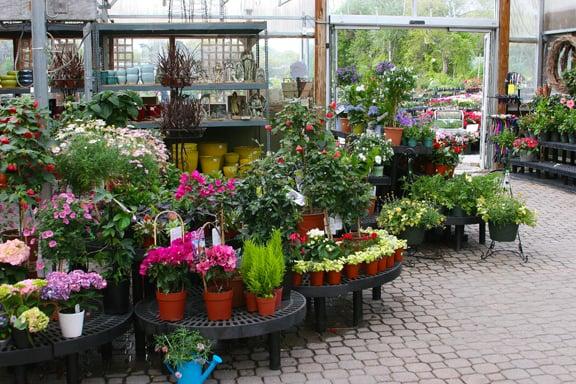 Patio full of plants