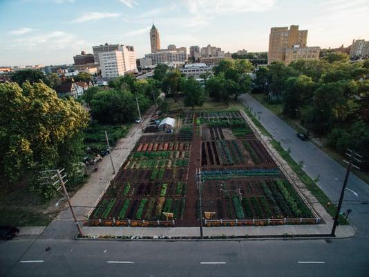 MUFI Urban Farm Spring 2015