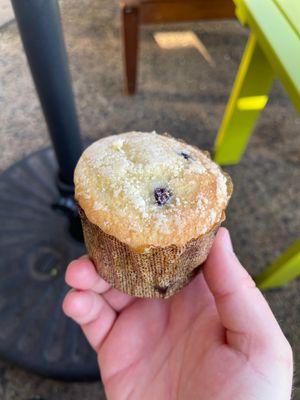 Blueberry Muffin