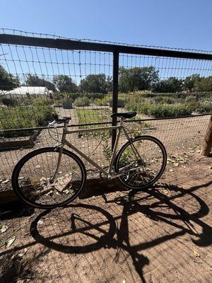 Bike perched while finding respite from long ride and sun!