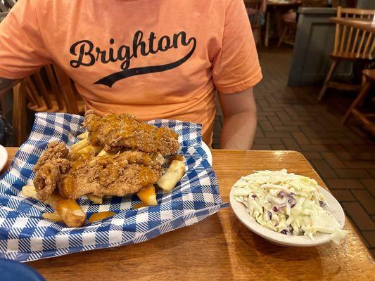 Golden Carolina BBQ Tenders & Cole Slaw