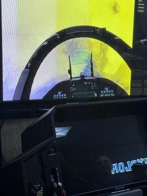 Flying a jet in the simulator