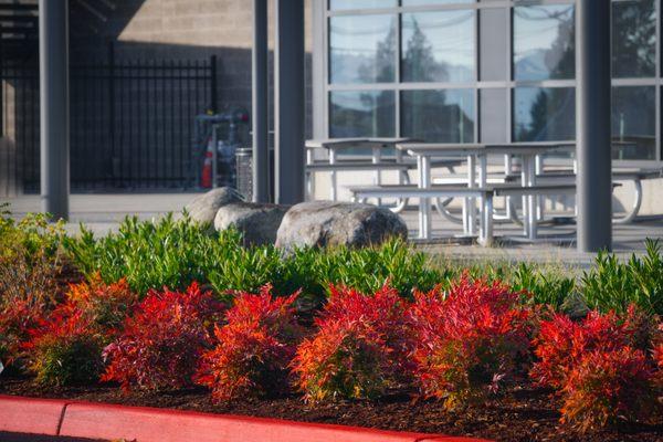 Commercial Landscaping