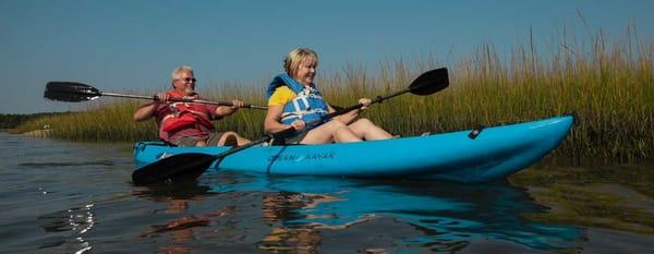 Kayak around the creeks of Bird Island while on an all day adventure