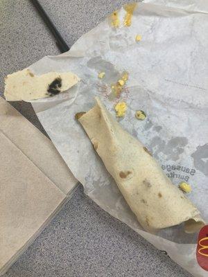 Moldy breakfast burrito